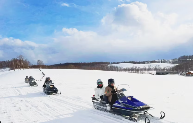 Asahikawa Zoo, Biei, and Ningle Terrace Tour from Hokkaido - Image 3